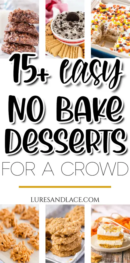 15+ Easy No Bake Desserts for a Crowd