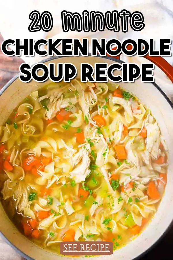 Homemade Chicken Noodle Soup Recipe