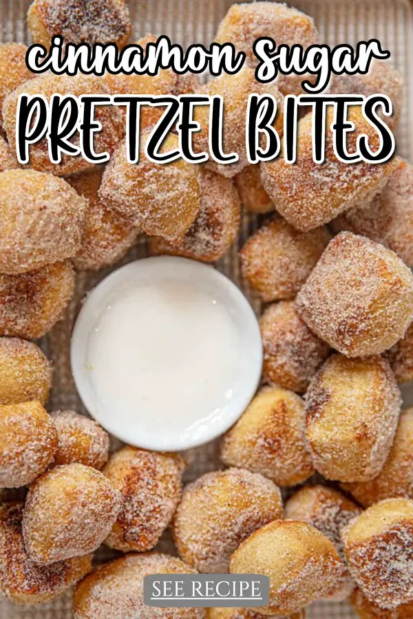 Cinnamon Sugar Pretzel Bites