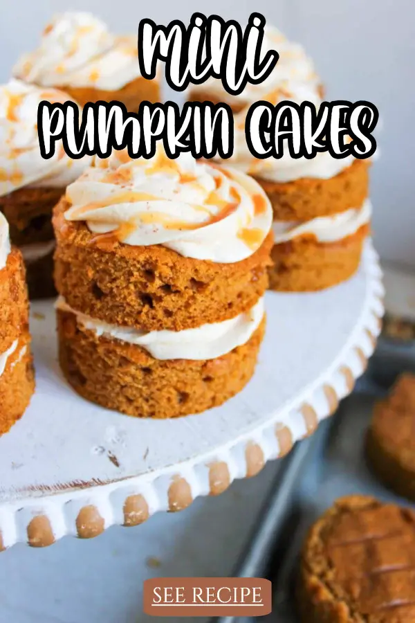 Mini Pumpkin Cakes