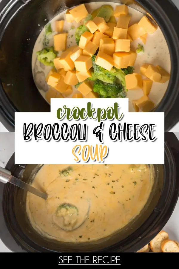 Crockpot Broccoli and Cheese Soup