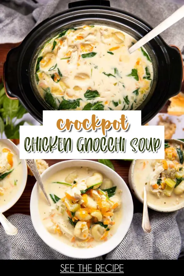 Crockpot Chicken Gnocchi Soup